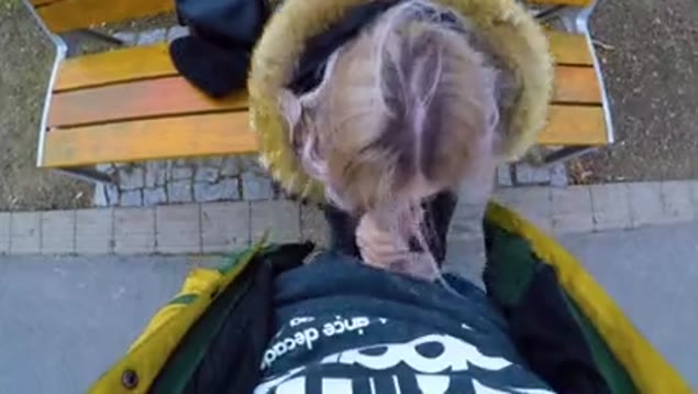 Public Park Porn Pickup for Cash with a Hot Chick